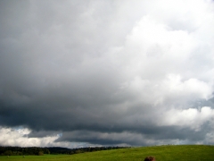 abrollern2011009